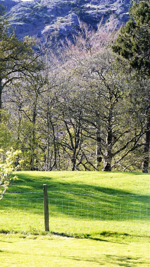 Shepherds Bridge B&B Coniston Esterno foto