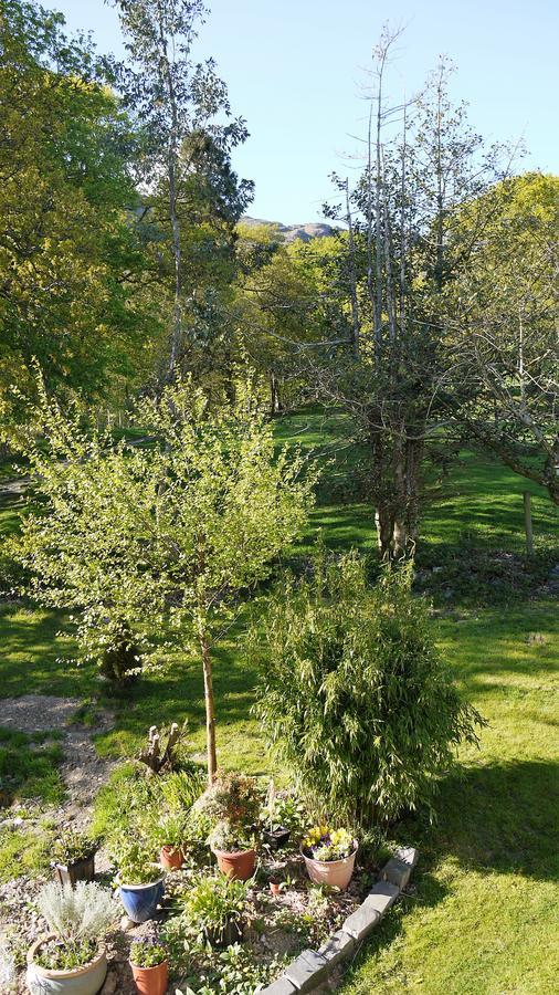 Shepherds Bridge B&B Coniston Esterno foto